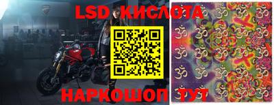 прущие грибы Балашиха
