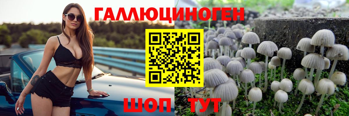 Донской  Псилоцибиновые грибы мухоморы  Псилоцибиновые грибы мицелий  Вход с VPN 
